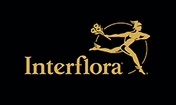 interflora-250x150.jpg